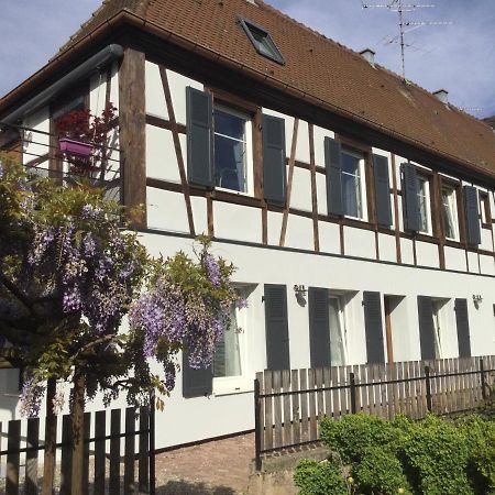 Gite Cote Jardin Ingersheim Exterior photo
