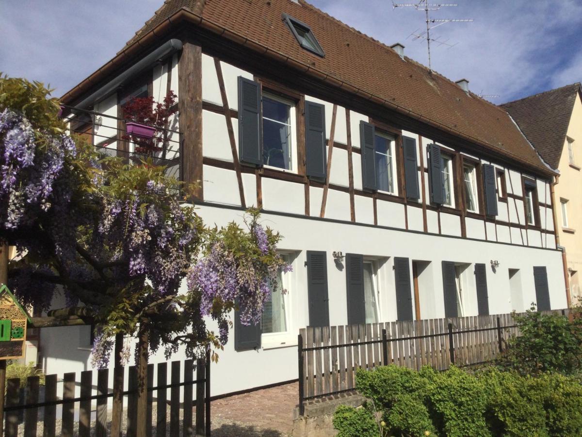 Gite Cote Jardin Ingersheim Exterior photo