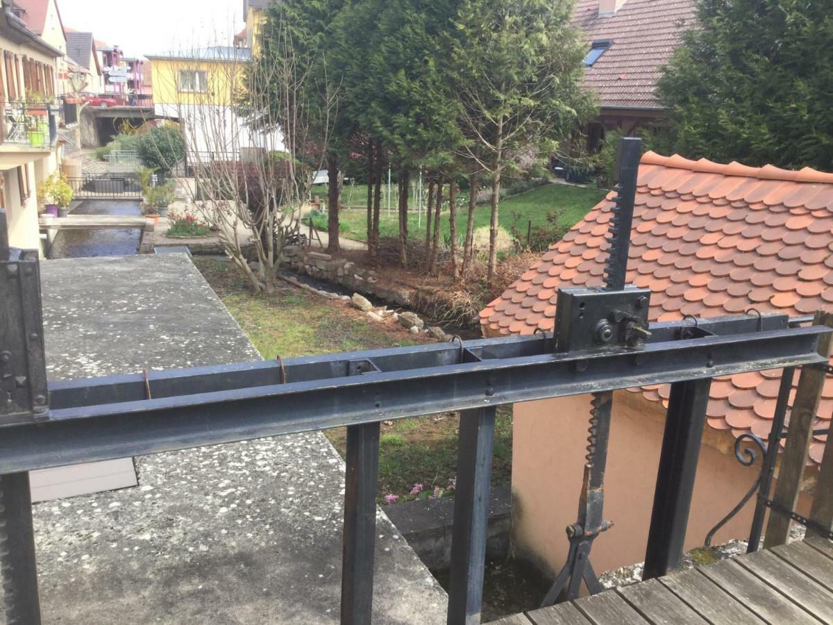 Gite Cote Jardin Ingersheim Exterior photo